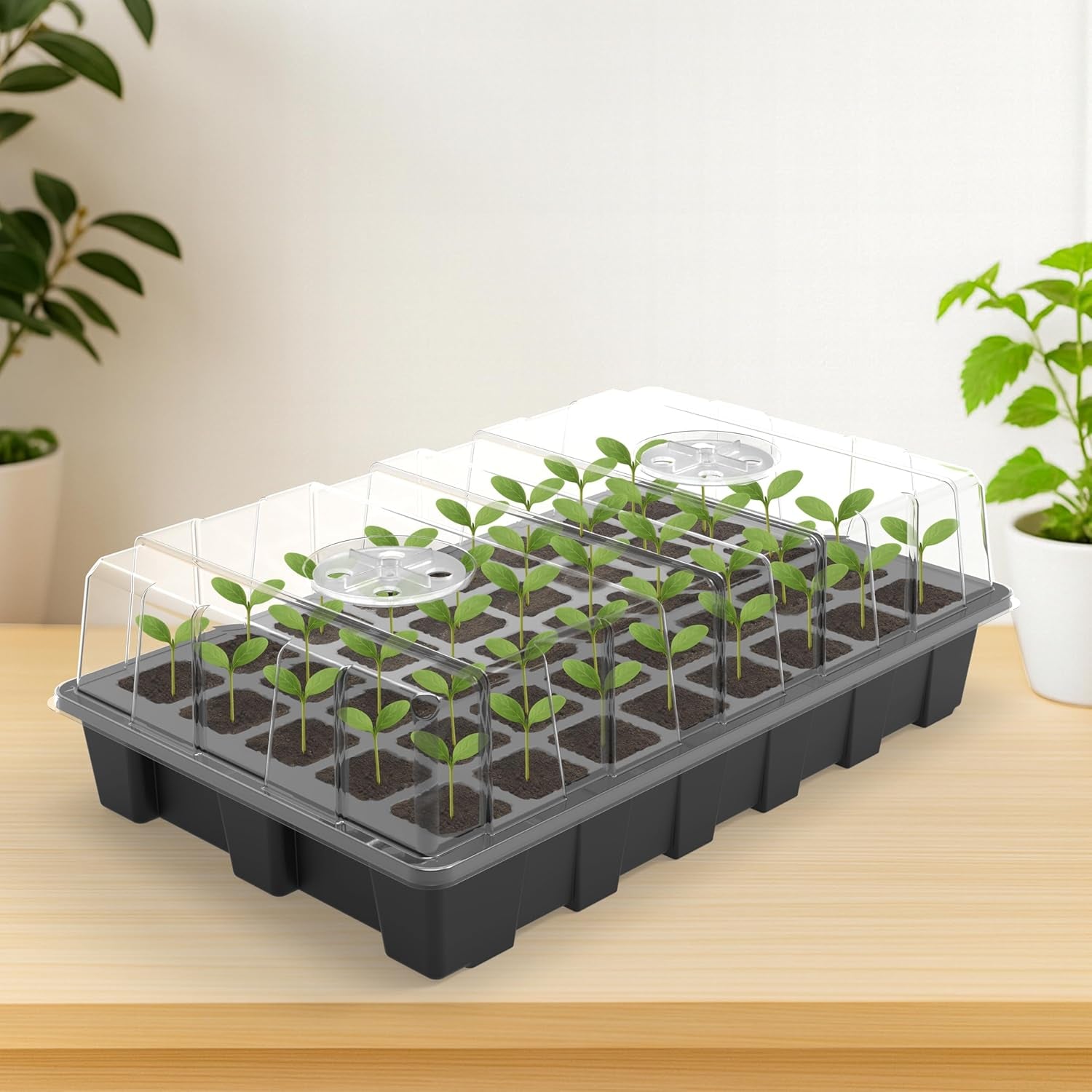 5-Set Seed Starter Tray Kits, Durable Plant Germination Trays with Humidity Vented Domes and Bases, Ideal for Seed Starting, Indoor Gardening, and Greenhouse (Total 200 Cells)
